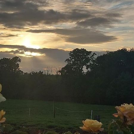Modern Countryside Apartment Killmallock Lodge Enniscorthy Bagian luar foto