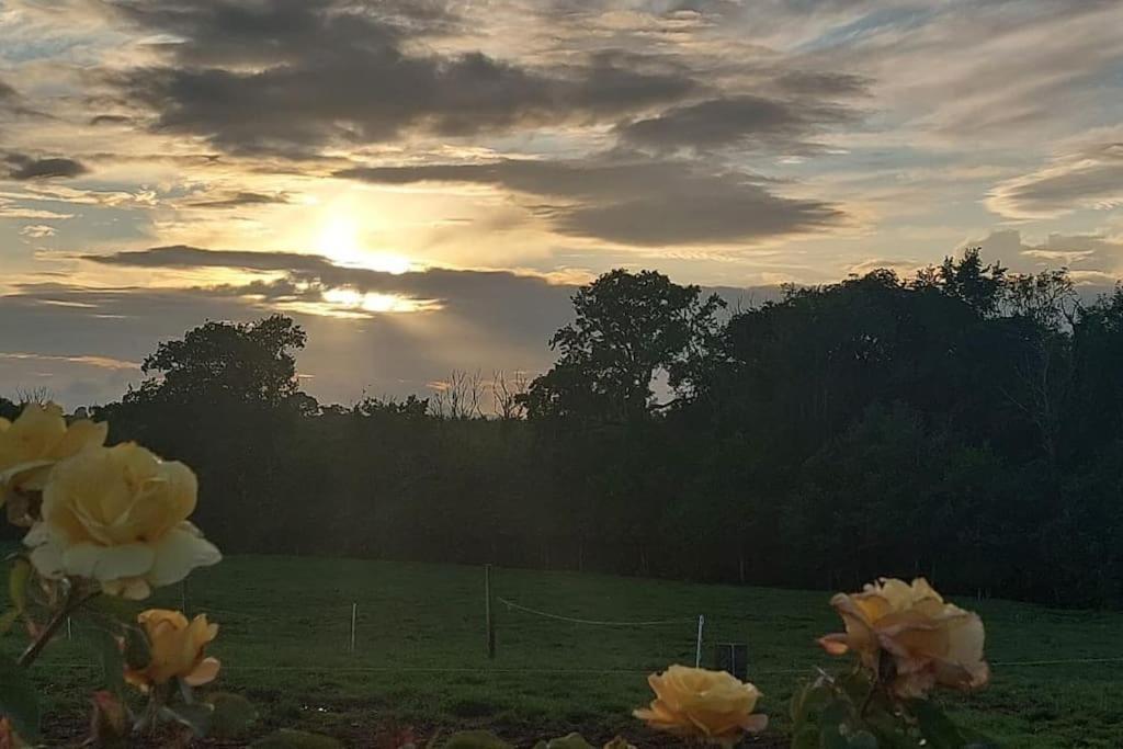 Modern Countryside Apartment Killmallock Lodge Enniscorthy Bagian luar foto